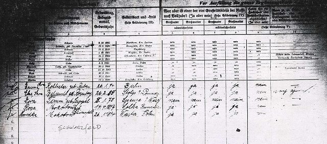 the-leo-baeck-institute-and-the-1939-german-minority-census-radio